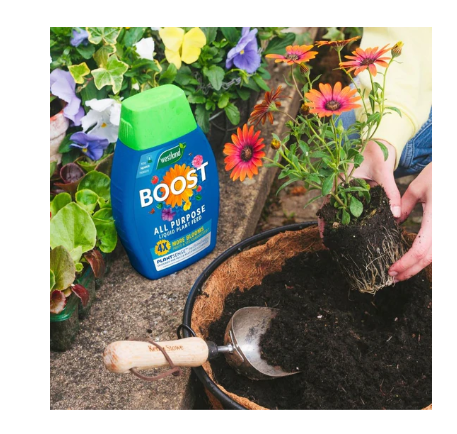 Westland Boost All Purpose Liquid Plant Food 2 x 1 Litre
