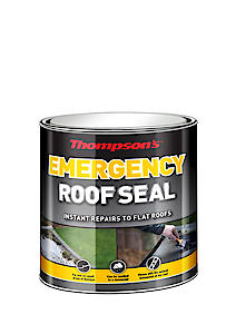 Ters25L 2.5L Thompsons Emergency Roof Seal