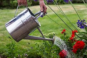 Apollo Gardening Ltd Galvanised Watering Can 76472
