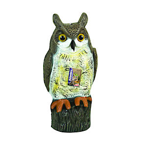 The Big Cheese Long Eared Owl Realistic Decoy Deterrent, Scares Birds From Gardens And Buildings