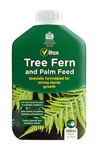 Tree Fern & Palm Feed