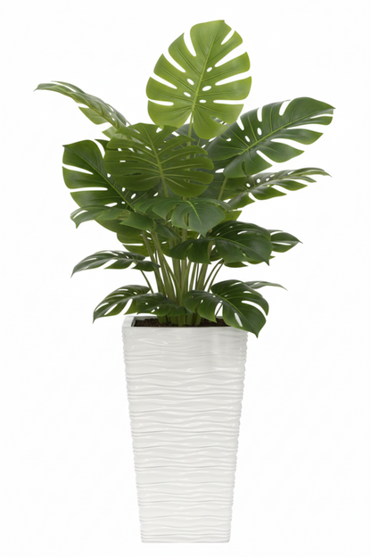 Fixtures Glaze Wave High Gloss LARGE Planter {White} Indoor or Outdoor