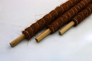 Moss Pole | Coir Grow Pole 60 Cm | Plant Support