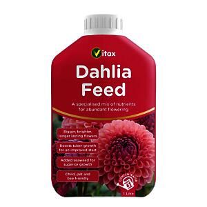 Vitax Liquid Dahlia Feed | High Potash Content | Flower Nutrients | 1 litre