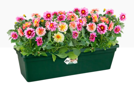 Elho Greens Basics Trough Large 60cm LEAF GREEN