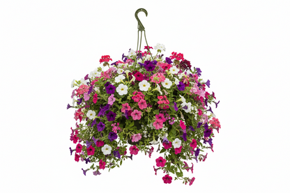 Fixtures White Garden Hanging Basket 25cm x 16cm