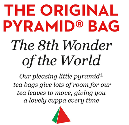PG Tips String & Tagged Tea Bags 100s | 3 x 100's Bundle
