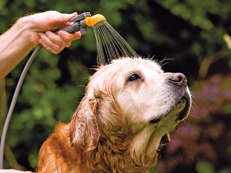 Hozelock Multi Purpose 7L Portashower, Pressure Sprayer.