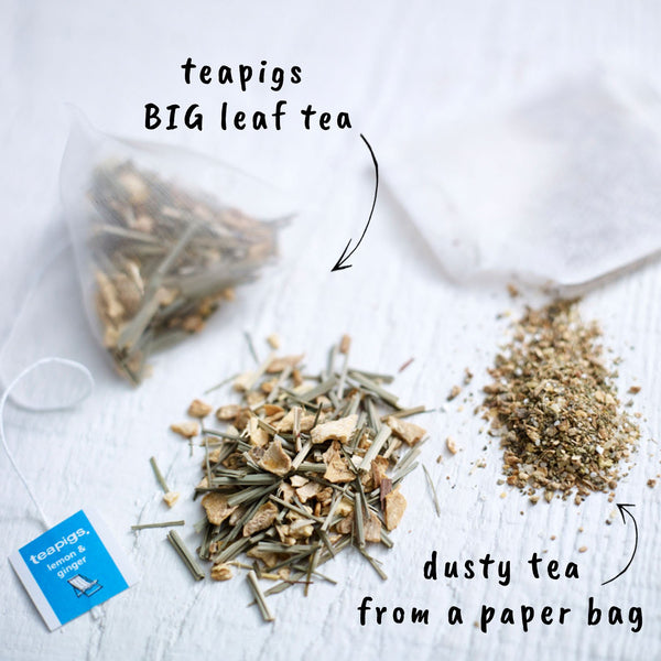 Teapigs Lemon and Ginger Tea Bags Made With Whole Leaves (1 Pack of 50 Enveloped Tea Bags)