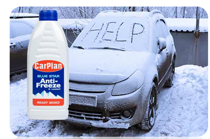 CarPlan Bluestar Ready Mixed Antifreeze 1 Litre | Effective to -36°F