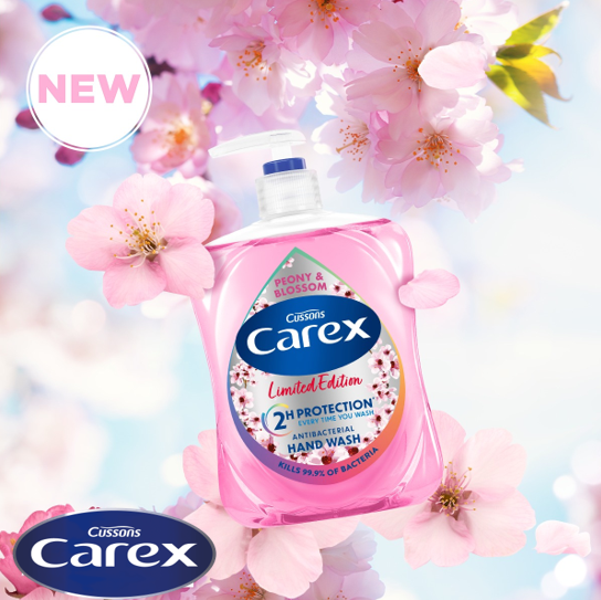 Carex Peony & Blossom Antibacterial Handwash 250ml