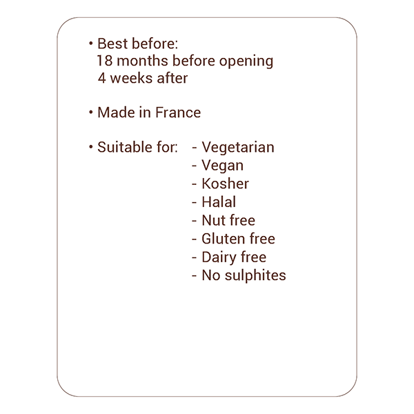 MONIN Premium Dark Chocolate Sauce 500ml for Frappes, Desserts, Cocktails.