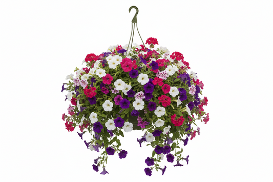 Fixtures Green Garden Hanging Basket 25cm x 16cm