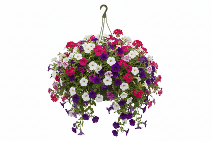 Fixtures White Garden Hanging Basket 25cm x 16cm