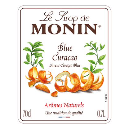 MONIN Blue Curacao Cocktail Syrup 700ml (Glass Bottle) Discounted Pump Offer