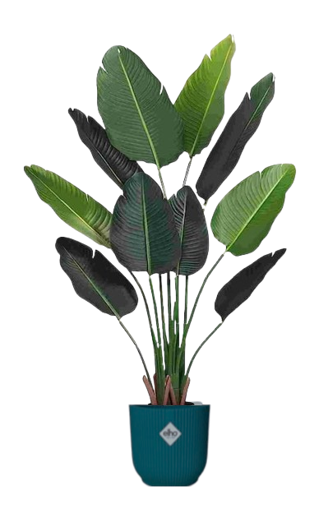 Fixtures Artificial Green Banana Tree 110cm