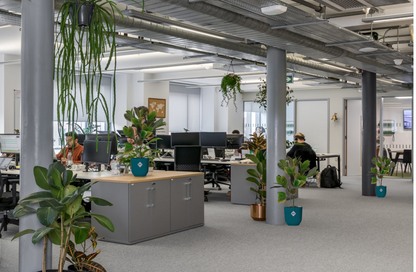 Fixtures Artificial Green Variegated Leaf Croton Tree 75cm