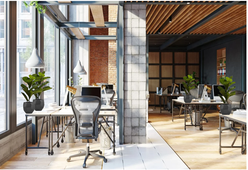 Fixtures Artificial Green Ficus Iyrata Tree 50cm