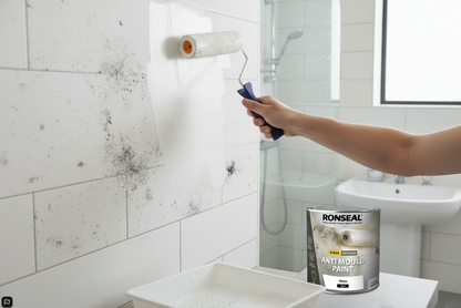 Ronseal Anti Mould Paint | White Silk | 1 x 2.5 Litre