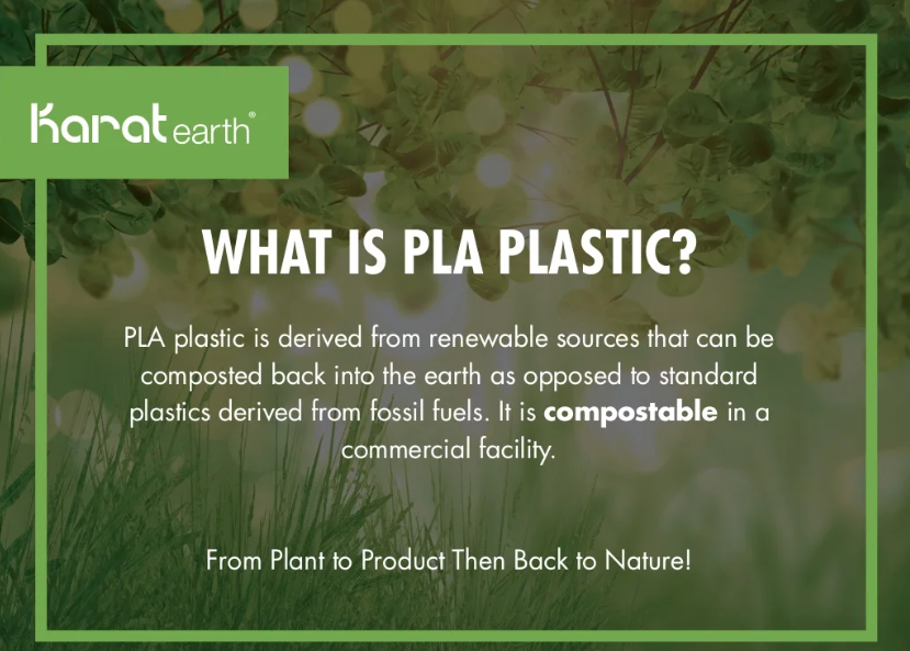 Belgravia Black PLA Bio Plastic Bendy Straws, 8 Inch Pack 250