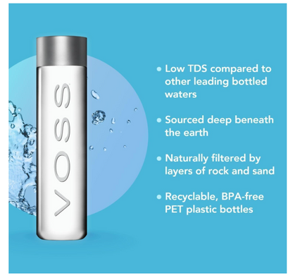 Voss Artesian Still Water PET 24x500ml