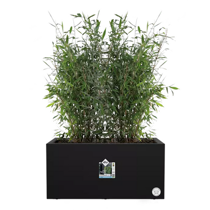 Elho Vivo Next Living Black Long Planter 60cm