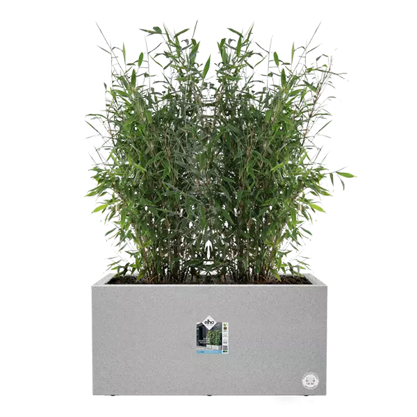 Elho Vivo Next Living Concrete Long Planter 60cm