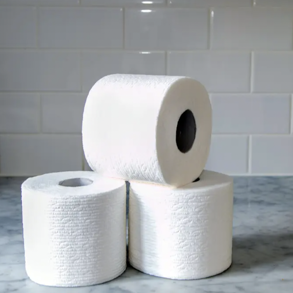Janit-X Toilet Roll 2ply 320 Sheets XL Pack of 40's {CHSA Accredited Supplier} - UK BUSINESS SUPPLIES
