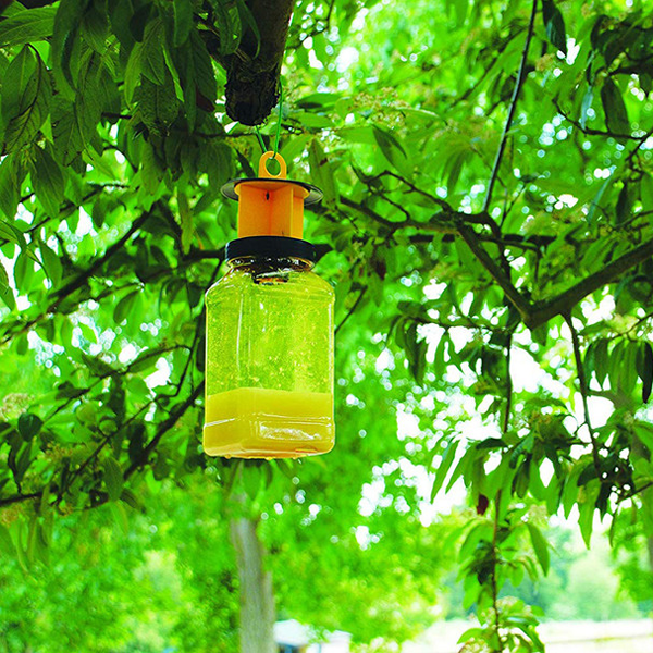 Zero In Fly Max Fly Catcher Bait Refill 3's (STV337)