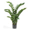 Fixtures Artificial Green Zamioculcas Zamiifolia Tree 100cm