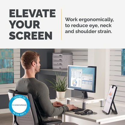 Fellowes Standard Monitor Stand Platinum 91712