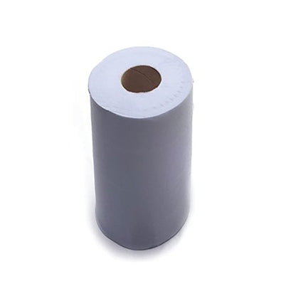 Lucart Hygiene Rolls 40m 111 Sheets Embossed Blue (Pack of 24) 870143
