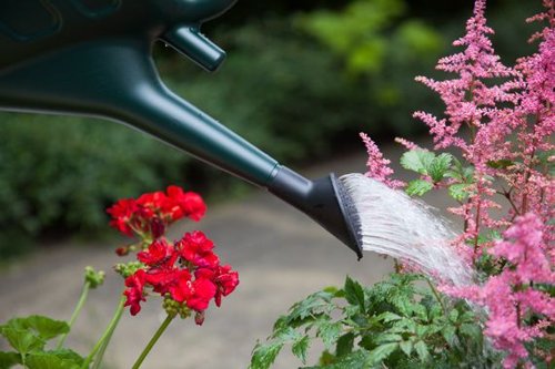 Whitefurze 6 Litre Watering Can Green G28WC06G