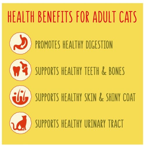 Go-Cat 1 Years + with a Chicken and Duck Mix 320g (Pack of 6) 261446