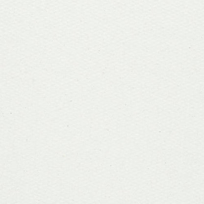 Wypall L10 Cleaning Paper Wipes 1-Ply x165 Wipes White Pack of 12 7380