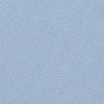 Wypall L20 Cleaning Paper Wipes 2-Ply x165 Wipes Blue Pack of 12 7381