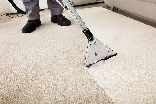 HG Carpet & Upholstery Cleaner 1 Litre [Product 95}