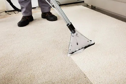HG Carpet & Upholstery Cleaner 1 Litre [Product 95}