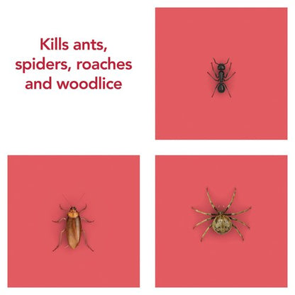 Raid Ant and Cockroach Killer Aerosol 300ml Pack of 6 97734