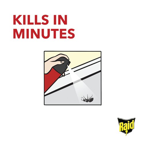 Raid Ant and Cockroach Killer Aerosol 300ml Pack of 6 97734