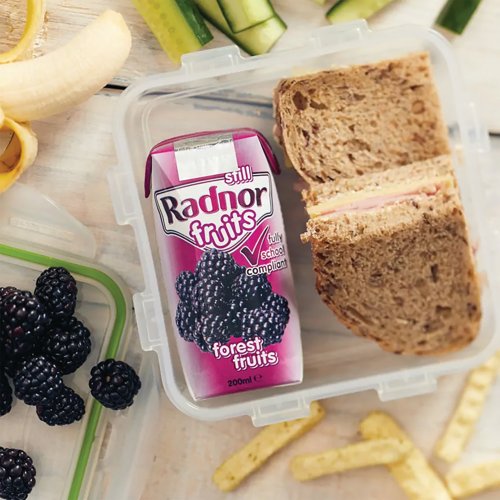 Radnor Fruits Forest Fruits Tetra Pack 200ml (Pack of 24) T-RF20STFF/24