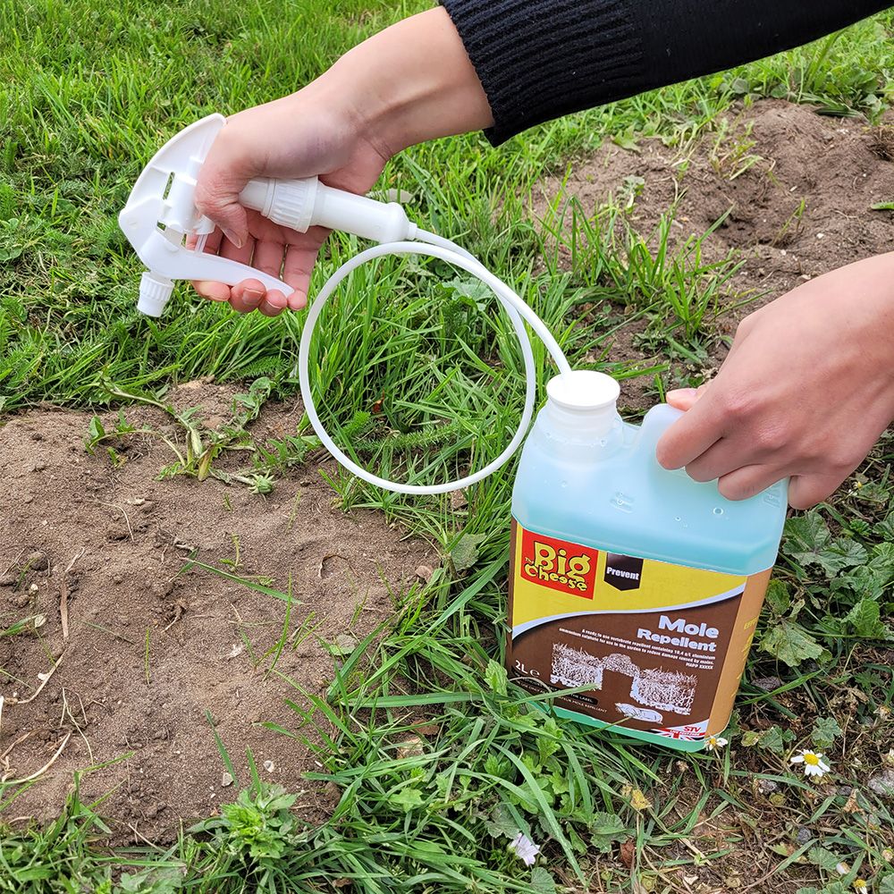 The Big Cheese Mole Repellent Liquid | Includes 1m Hose & Pump