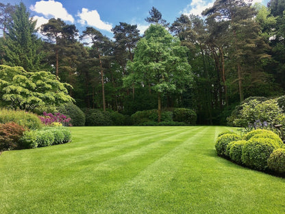 Empathy Supreme Green Liquid Lawn Feed Concentrate 1 Litre