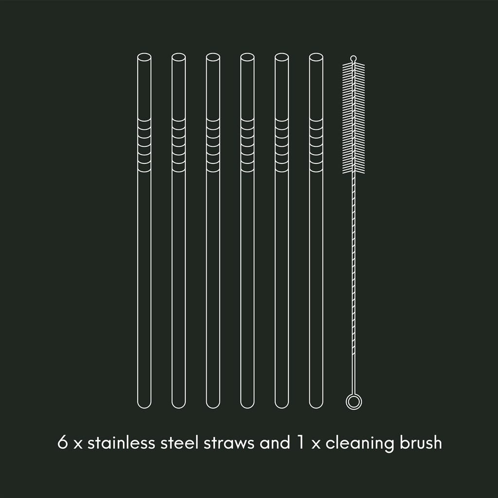 Viners 7pc Long Steel Drinking Straws Gift {6 Straws & 1 Cleaning Brush}