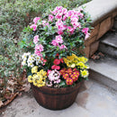 Sankey Oakwood Large 49cm Barrel Planter