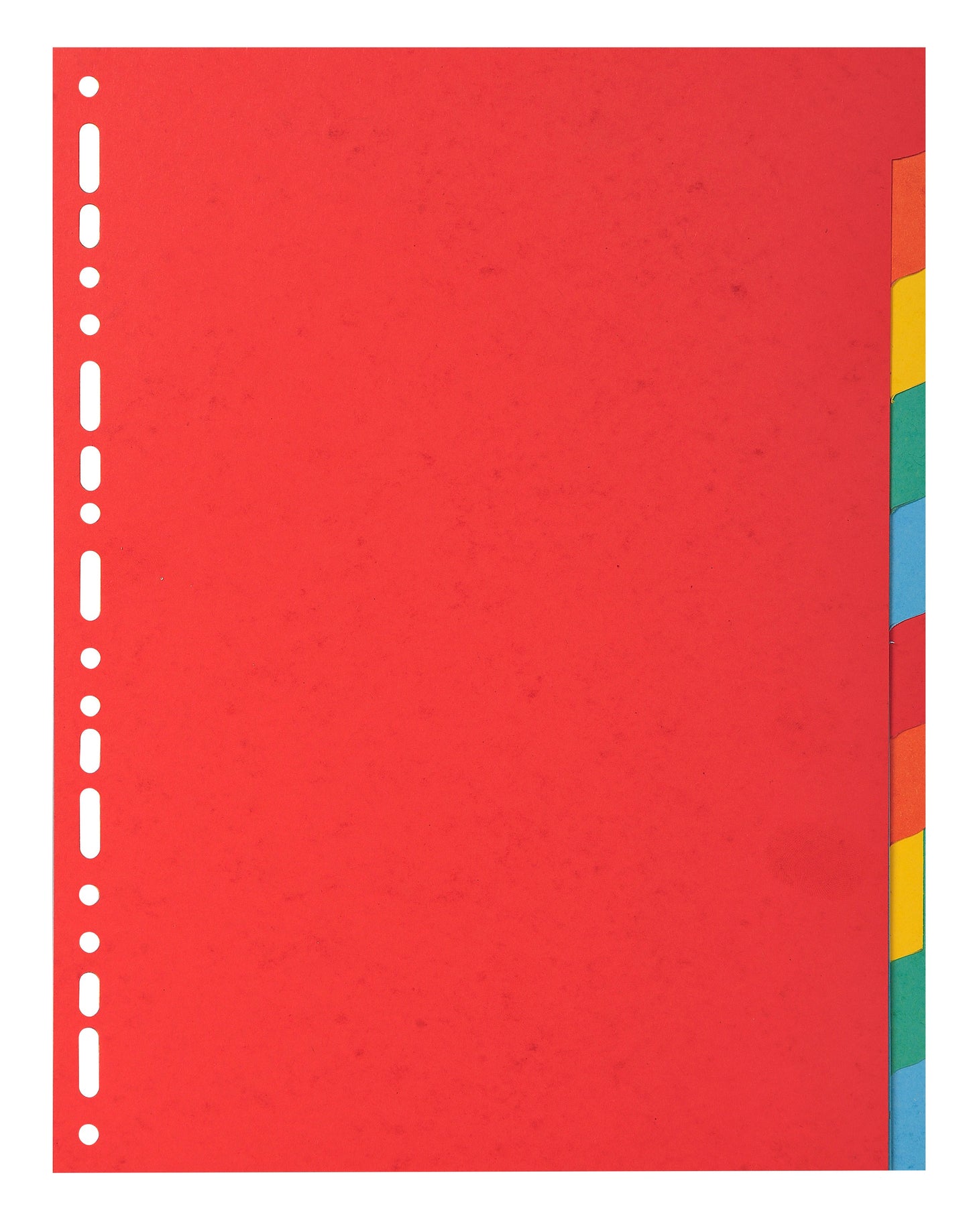 Exacompta Forever Recycled Divider 10 Part A4 220gsm Card Vivid Assorted Colours - 2010E - ONE CLICK SUPPLIES