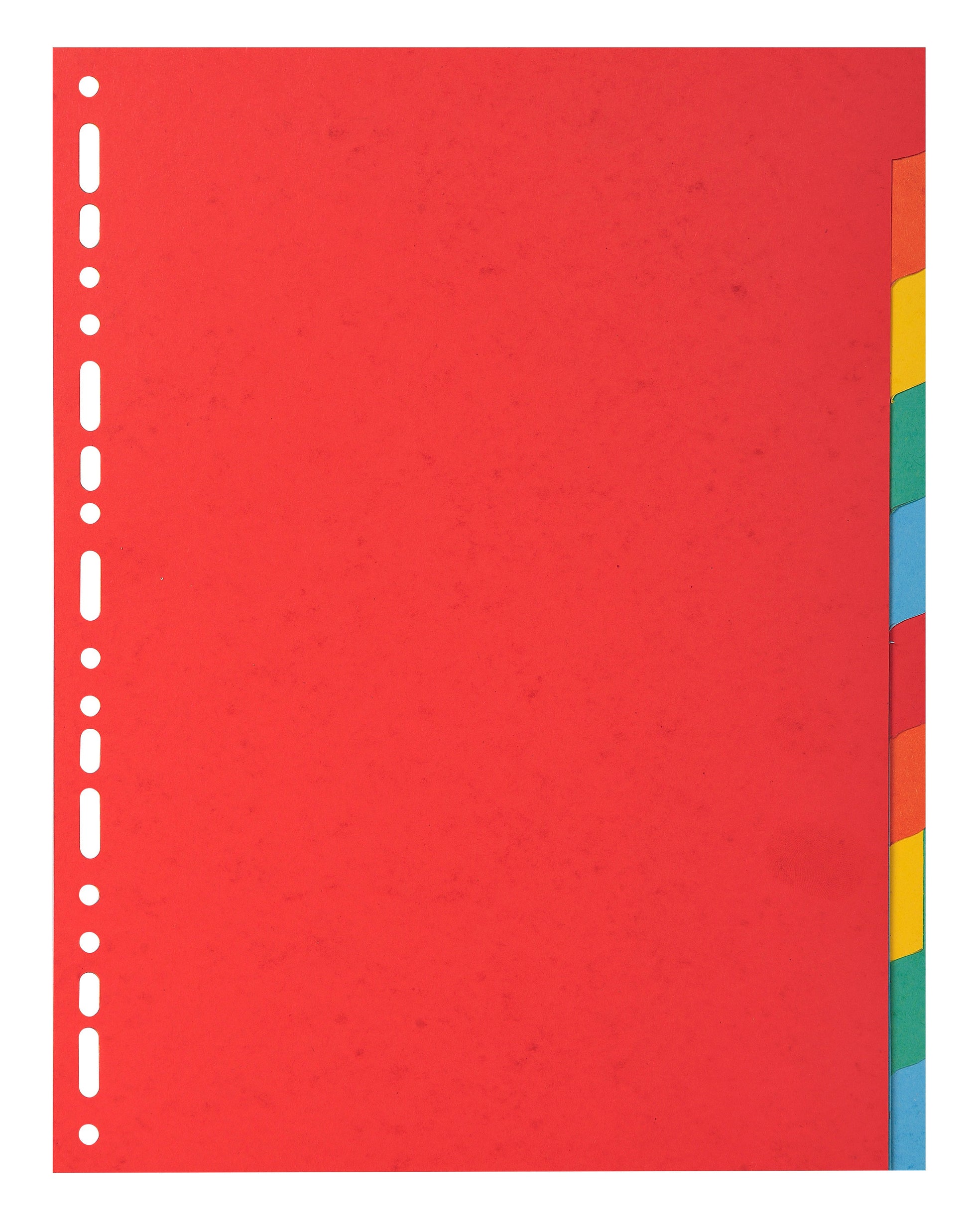 Exacompta Forever Recycled Divider 10 Part A4 220gsm Card Vivid Assorted Colours - 2010E - ONE CLICK SUPPLIES