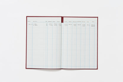 Guildhall Headliner Account Book Casebound 298x203mm 10 Cash Columns 80 Pages Red 38/10Z - ONE CLICK SUPPLIES