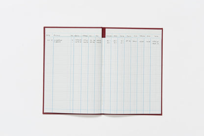 Guildhall Headliner Account Book Casebound 298x203mm 12 Cash Columns 80 Pages Red - 38/12Z - ONE CLICK SUPPLIES