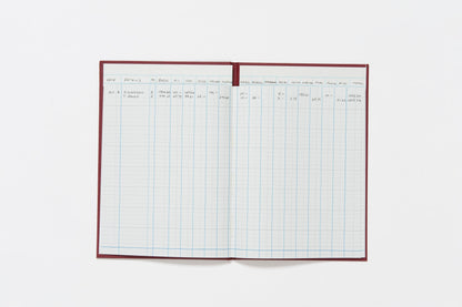 Guildhall Headliner Account Book Casebound 298x203mm 16 Cash Columns 80 Pages Red 38/16Z - ONE CLICK SUPPLIES